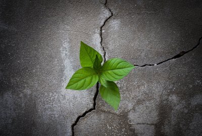 Resilience in a Time of Uncertainty